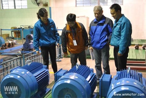 高效電動(dòng)機(jī) 高效電動(dòng)機(jī)