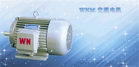 交流電機(jī) 交流電機(jī)
