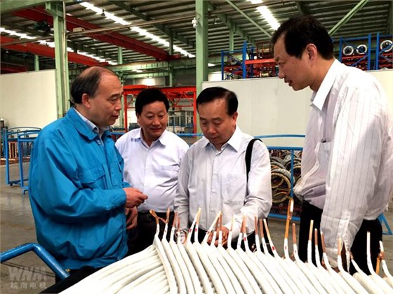 全國總工會(huì)領(lǐng)導(dǎo)來皖南電機(jī)調(diào)研 全國總工會(huì)領(lǐng)導(dǎo)來皖南電機(jī)調(diào)研