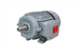 YX3系列高效三相異步電動機(jī) YX3系列高效三相異步電動機(jī)