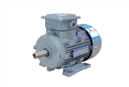 YXL系列高效率鋁機(jī)殼三相異步電動機(jī) YXL系列高效率鋁機(jī)殼三相異步電動機(jī)