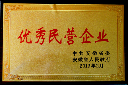 皖南電機(jī):優(yōu)秀民營(yíng)企業(yè) 皖南電機(jī):優(yōu)秀民營(yíng)企業(yè)