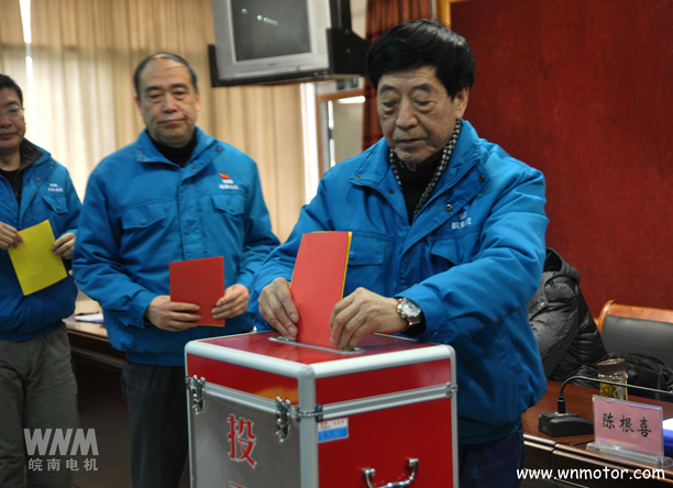 皖南電機陳根喜、管兵在投票現(xiàn)場