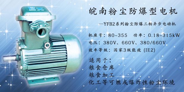 粉塵防爆電機(jī) 粉塵防爆電機(jī)
