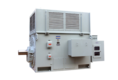 YR系列高壓三相異步電動機(jī) YR系列高壓三相異步電動機(jī)