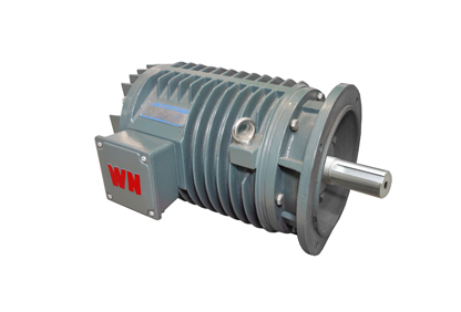 YG系列輥道用調(diào)速三相異步電動(dòng)機(jī) YG系列輥道用調(diào)速三相異步電動(dòng)機(jī)