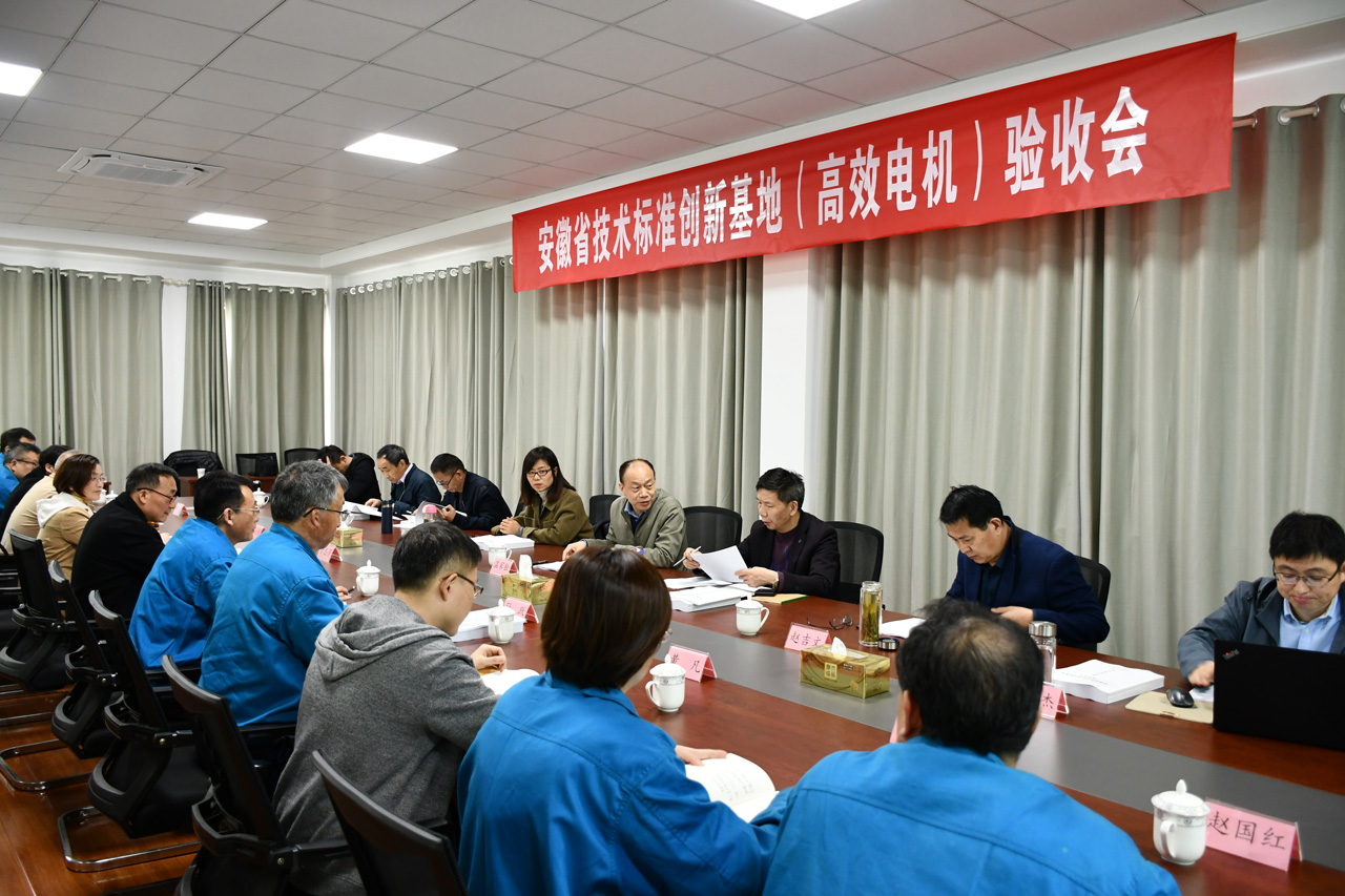 安徽省技術(shù)標(biāo)準(zhǔn)創(chuàng)新基地(高效電機(jī)) 安徽省技術(shù)標(biāo)準(zhǔn)創(chuàng)新基地(高效電機(jī))