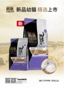 爵加新品幼貓精選上市！