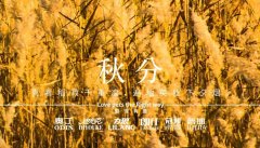 秋分丨晝夜分畫，漸入秋華