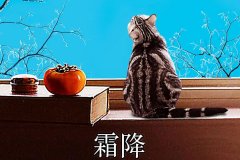 霜降丨縱然霜華盡染，心中美好如初